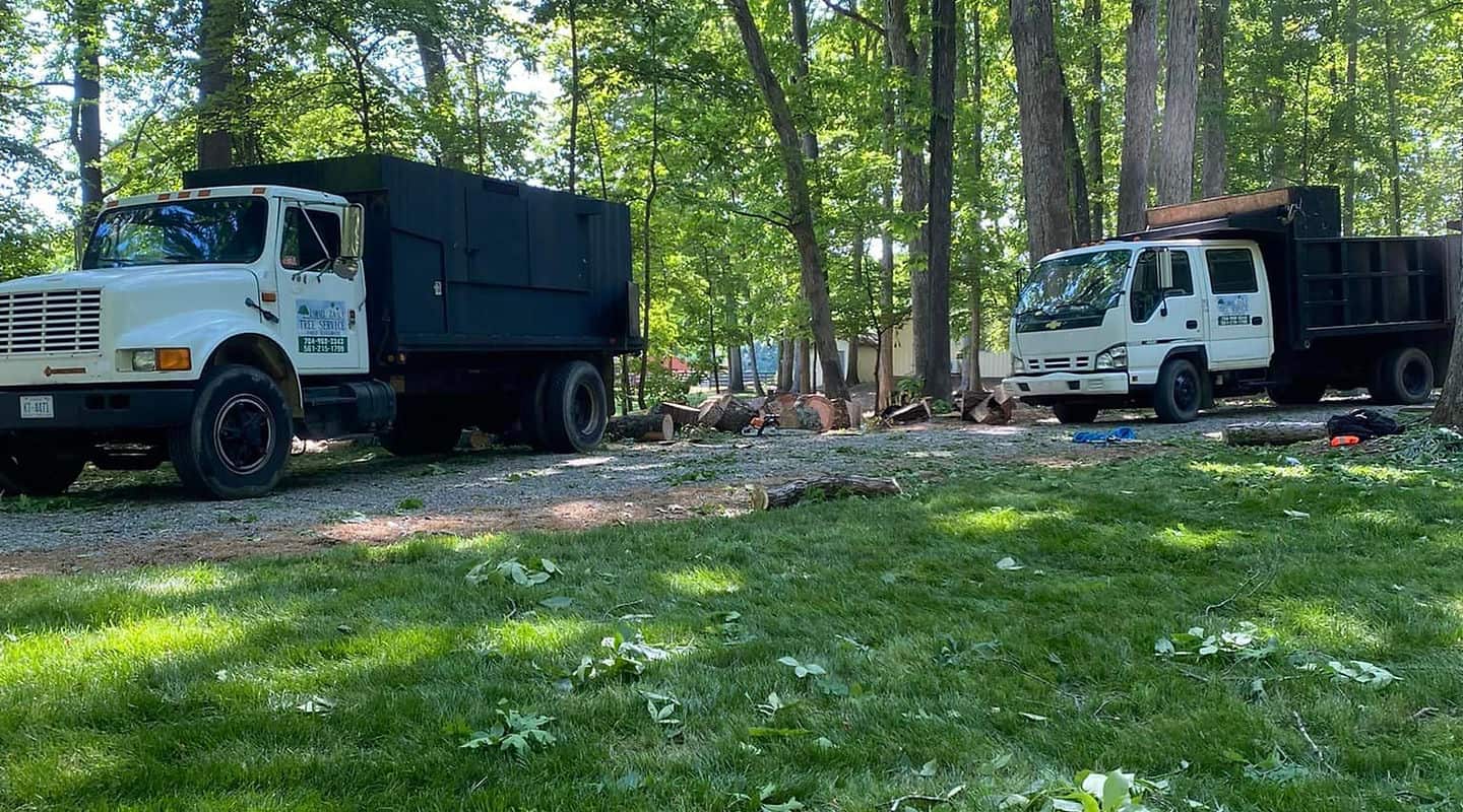 Ismael Zavala Tree Service team on site