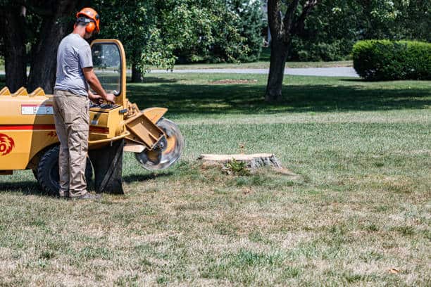 Free Estimates