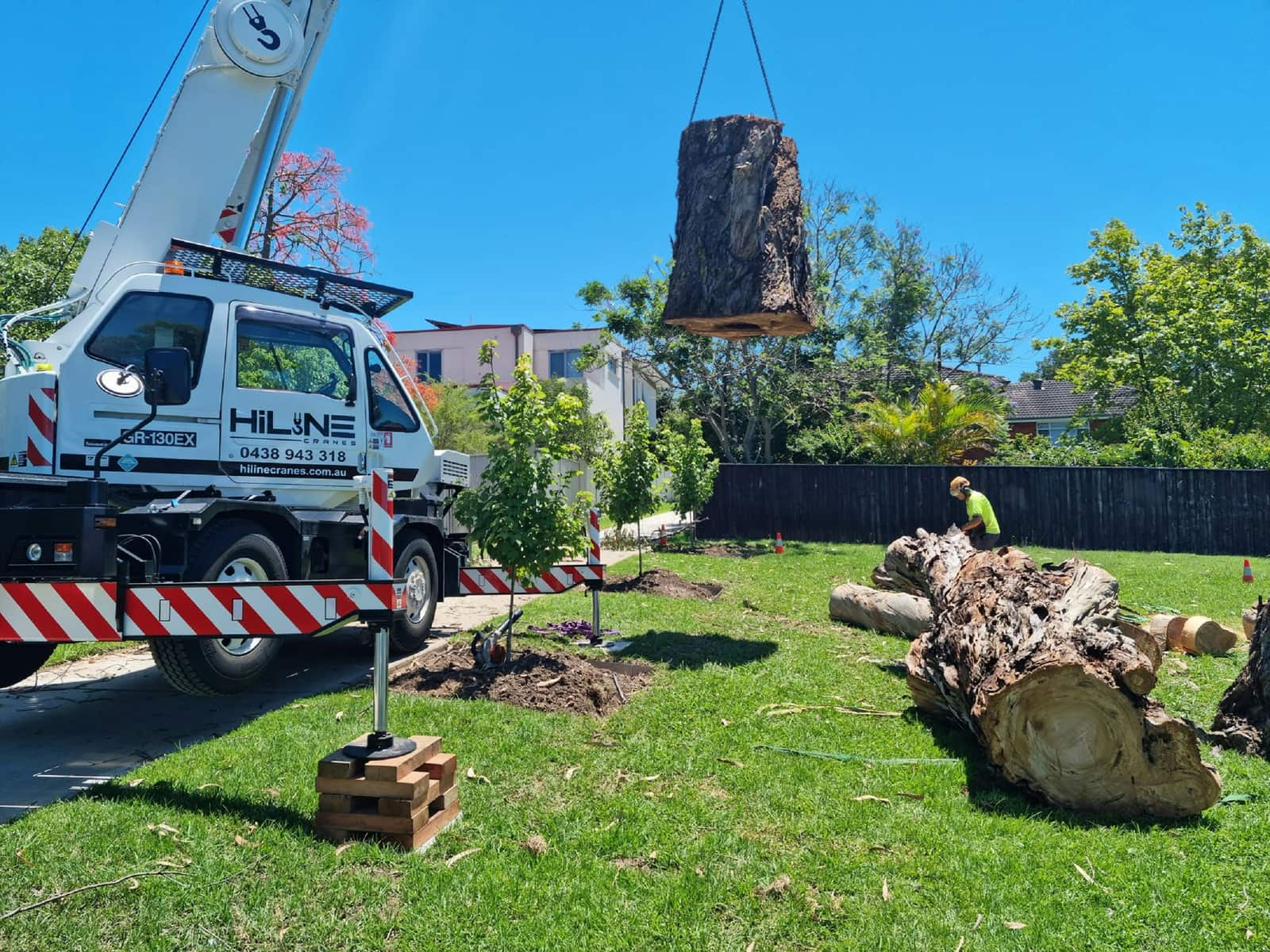 Tree service work